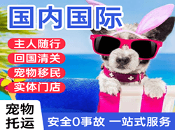 奔牛航空快运国际宠物托运 【国